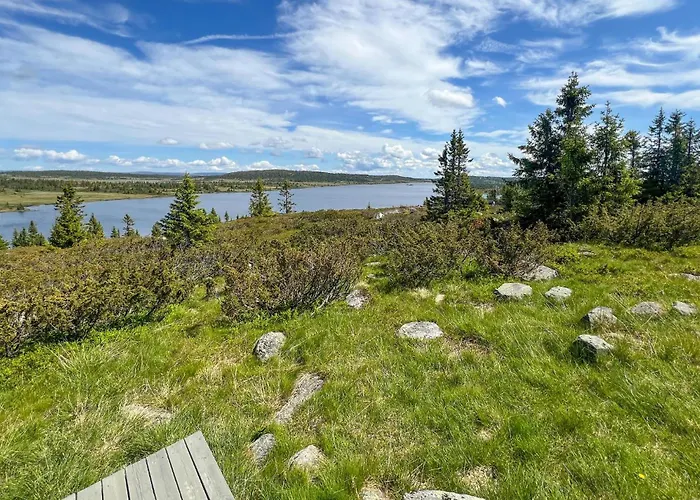 3 Bedroom Stunning In Lillehammer